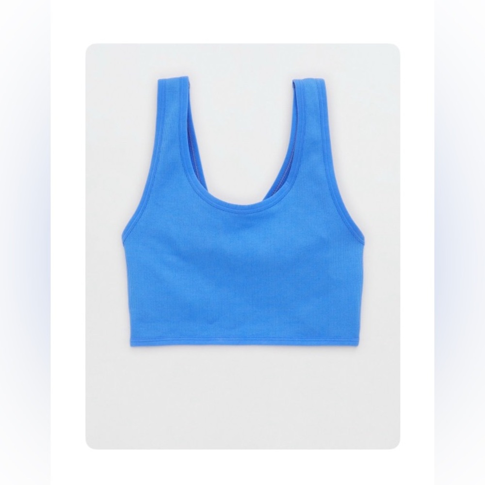 Aerie Blue Bralette